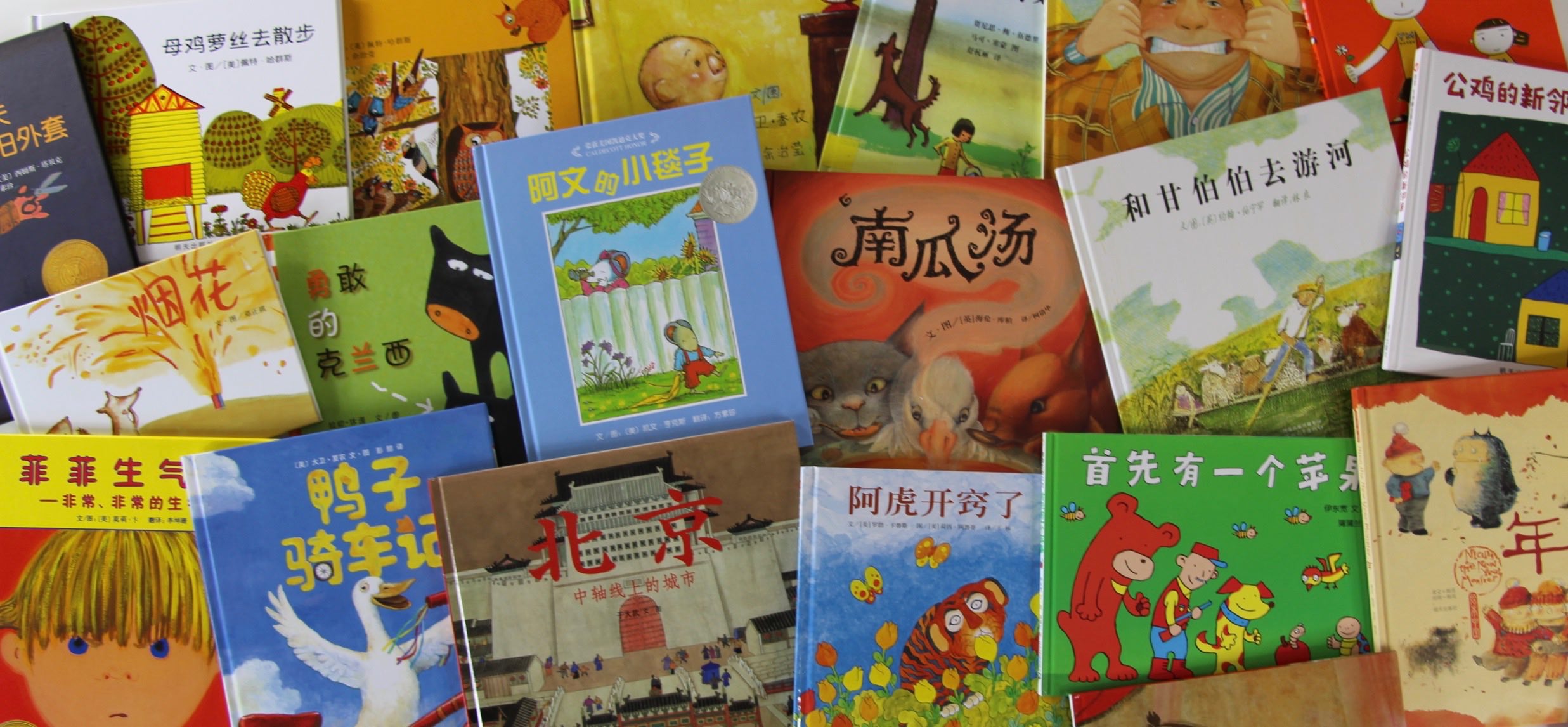 Photo of an assortment of Mandarin Chinese books for children. 